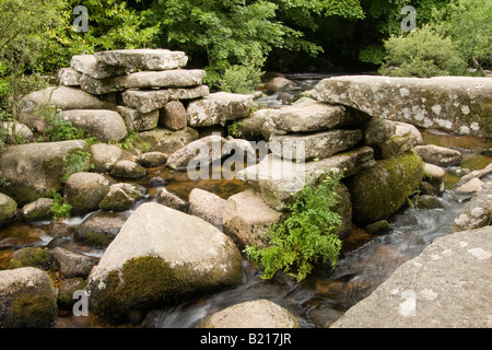 Les vestiges d'un ancien clapper bridge sur la rivière Dart à Pixie's Holt, Dartmoor Banque D'Images