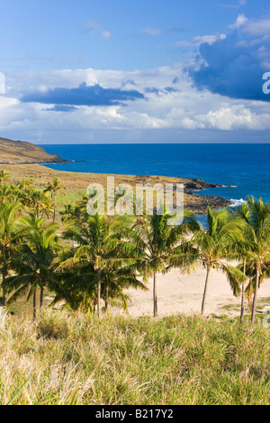 Amérique du Sud Chili Isla de Pascua Rapa Nui Île de Pâques géant monolithique plage Anakena Moai statues en pierre de l'ahu Nau Nau Banque D'Images