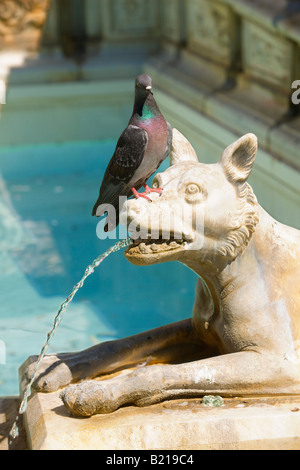 Fonte Gaia en Piazza del Campo à Siena Banque D'Images