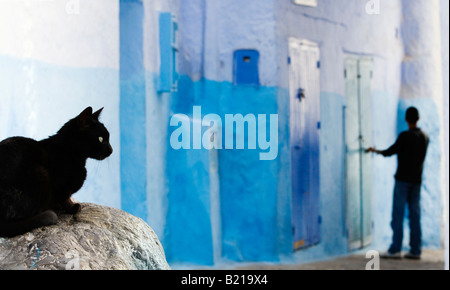 Chat noir assis dans l'allée peint bleu Banque D'Images