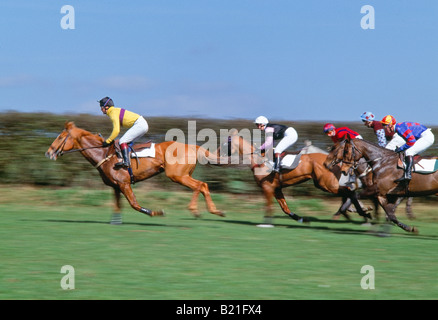 Les chevaux EN COMPÉTITION DANS UNE COURSE DE POINT À POINT AU Royaume-Uni Banque D'Images