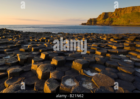 La Chaussée des géants au nord du chemin côtier d'Antrim County Antrim Irlande du Nord GO UK EU Europe Banque D'Images