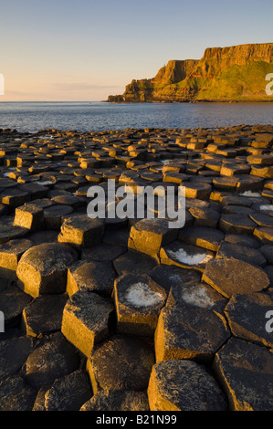 La Chaussée des géants au nord du chemin côtier d'Antrim County Antrim Irlande du Nord GO UK EU Europe Banque D'Images