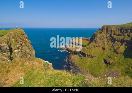 Chimney tops Giants Giants Causeway Antrim chemin côtier du nord dans le comté d'Antrim en Irlande du Nord GO UK EU Europe Banque D'Images