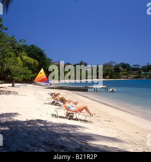 Grenade - plage bordée de cocotiers sur Prickly Bay, près de l'hôtel Calabash Banque D'Images