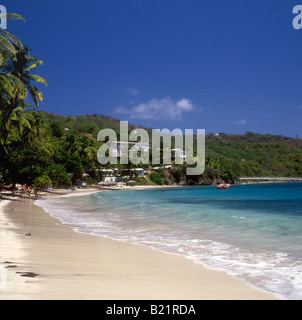 Bequia - l'amitié de palmiers Bay Beach, près de l'Amitié Bay Hotel Banque D'Images