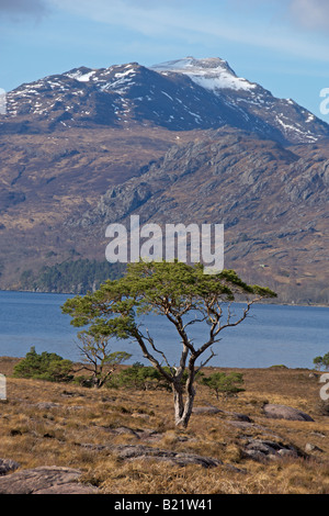 À la recherche sur le Loch Maree Région de Lone Pine Highland Ecosse Avril 2008 Banque D'Images