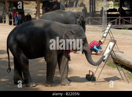 Peinture d'éléphant, Maesa Elephant Camp, près de Chiang Mai, dans le Nord de la Thaïlande Banque D'Images