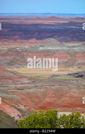 Painted Desert zone du parc national pétrifié en Arizona Banque D'Images