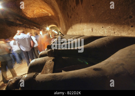 Reims, France. Silhouetts de personnes passant par près d'une ligne de vieilles bouteilles de champagne dans une cave à vin Banque D'Images