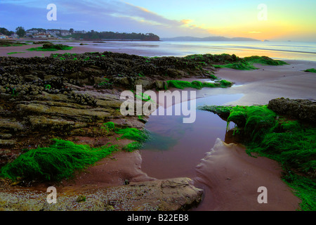 Le Breaking Dawn sur l'estran au musée dans le sud du Devon avec la première lueur de la lumière du soleil reflétant sur le sable Banque D'Images