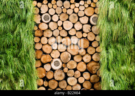 Le mur du jardin Porsche, Hampton court Flower show 2008. Angleterre Banque D'Images