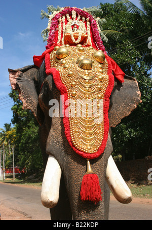 Temple de cérémonie richement décorées avec des éléphants d'or avec caparaçon. Kerala Inde 2008 Banque D'Images