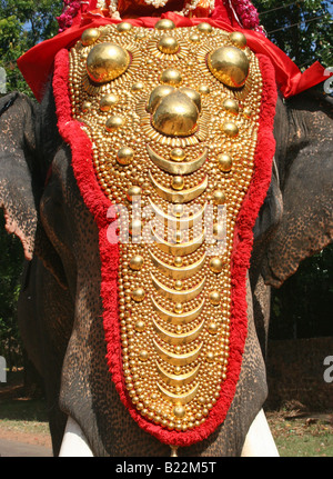 Temple de cérémonie richement décorées avec des éléphants d'or avec caparaçon. Kerala Inde 2008 Banque D'Images