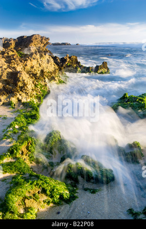 Vague se brisant sur la Limestone Coast à Trigg Beach à Perth, Australie occidentale Banque D'Images