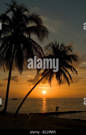 Un couple au coucher du soleil assis sur une plage bordée de palmiers à Maria La Gorda, Cuba. Banque D'Images