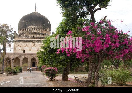 Un arbre se dresse devant l'mausolée à coupole de Muhammad Quli Qutb Shah (1580-1611) à l'Inde, Golconda. Banque D'Images