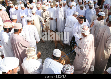 Nizwa marché chèvre Sultanat d'Oman Banque D'Images