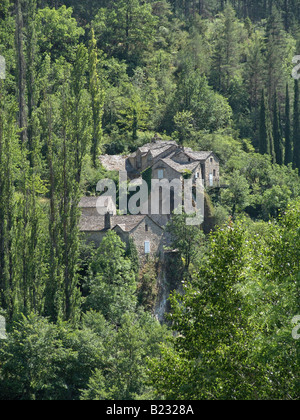 Portrait d'arbres autour de house, le Rozier, Languedoc-Roussillon, France Banque D'Images