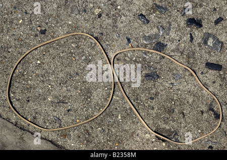 Close up de deux bandes en caoutchouc de forme ronde sur un trottoir en béton Banque D'Images