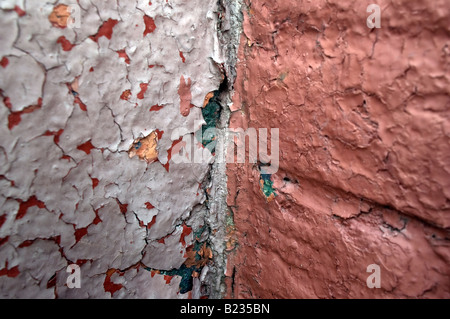 Close up de la lavande et de l'épluchage de la peinture rouge sur un mur Banque D'Images