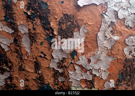 Close up de la lavande et de l'épluchage de la peinture rouge sur un mur Banque D'Images