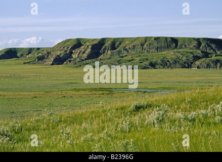 Big Muddy Valley en Saskatchewan Canada près de Montana USA Banque D'Images