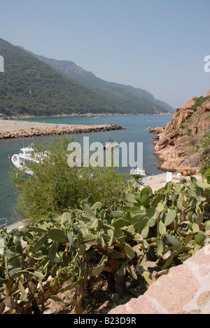 Porto sur la révision à mi côte nord-ouest de la Corse Banque D'Images