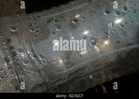 Close up de bouteille d'eau en plastique avec des bulles d'eau sur la rue Banque D'Images