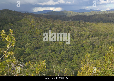 Forêt autour de Bario Kelabit Highlands Malaisie Sarawak Banque D'Images