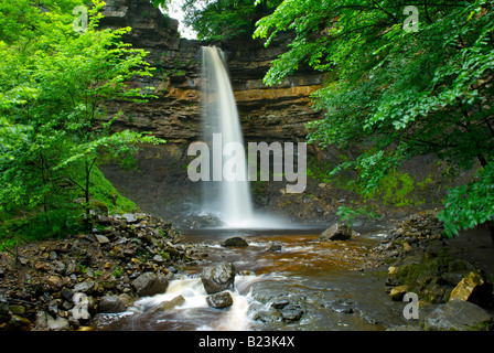 Hardraw Force, près de Hawes, Wensleydale, Yorkshire Dales National Park, North Yorkshire UK (plus haute-goutte tombe en Angleterre) Banque D'Images