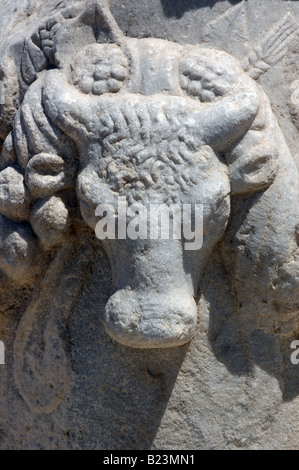 Fonction sur base de Bull sculpté de colonne de marbre, Delos, Grèce Banque D'Images