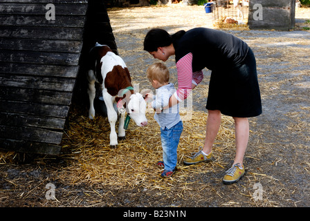 Bébé garçon blond deux ans avec mère vache d'alimentation Banque D'Images