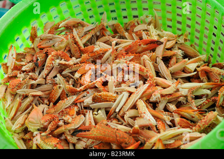 Pinces de crabe, pig island(Koh Sukorn) , la province de Trang , Thaïlande Banque D'Images