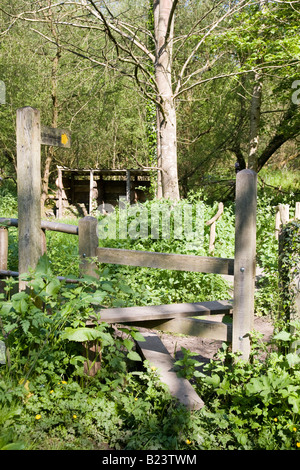 Un montant en bois sur un sentier boisé dans le West Sussex, Angleterre. Banque D'Images