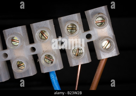 Bloc de câble en plastique avec vis en laiton et morceau de trois core câble secteur d'bleu brun et fils de masse. Banque D'Images