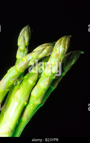 Close up of asperges Still Life Banque D'Images
