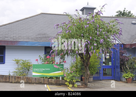 Islington Ecology Centre Gillespie Park nature Reserve Highbury London Borough of Islington Angleterre Royaume-Uni Banque D'Images