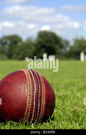 Balle de cricket Banque D'Images