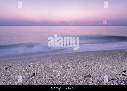 Les coquillages sur la plage sunrise Bowmans Beach County Park Sanibel Island Florida USA Banque D'Images