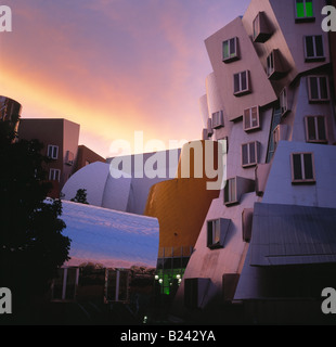 Stata Center du MIT conçu par Frank Gehry Banque D'Images
