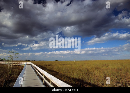 Fleuve d'Herbe de Pa hay okee boardwalk les nuages de tempête Parc Nat Everglades Floride USA Banque D'Images