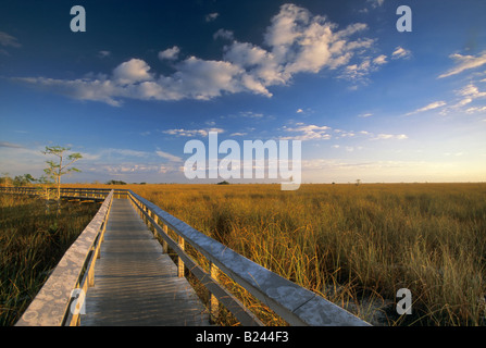 Fleuve d'Herbe de Pa hay okee boardwalk sunrise Everglades Floride Etats-unis Parc Nat Banque D'Images