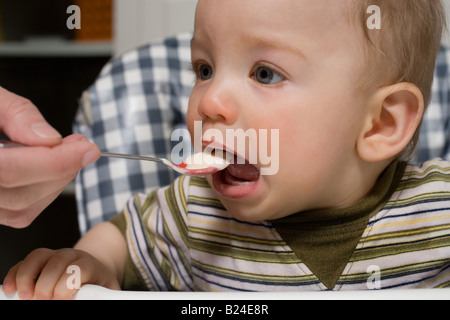 Bébés nourris Banque D'Images