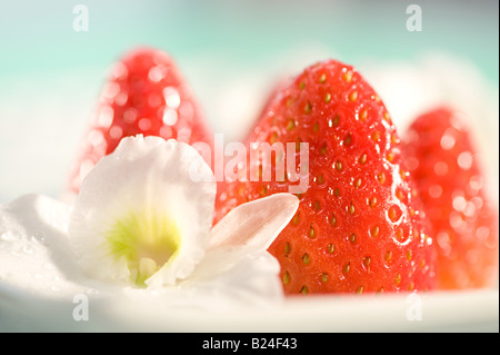 Des fraises et des fleurs Banque D'Images