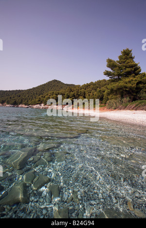 Grèce Sporades du nord île de Skopelos vue sur la plage de Milia Banque D'Images