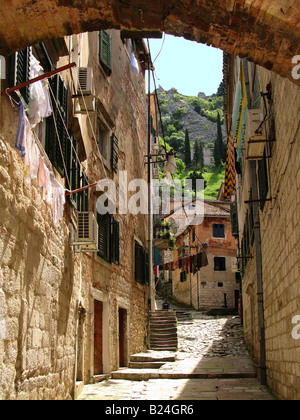 Le côté pittoresque des rues dans la vieille ville de Kotor, Monténégro, Balkans Banque D'Images