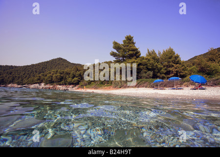 Grèce Sporades du nord île de Skopelos vue sur la plage de Milia Banque D'Images