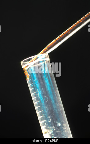 CLOSE UP PIPETTE AND TEST TUBE ESSAIS EN LABORATOIRE Banque D'Images