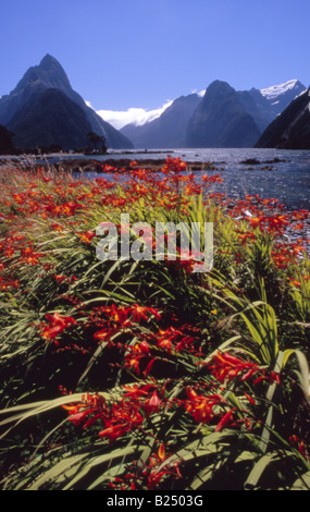 Milford Sound, Fiordland, Nouvelle-Zélande, l'aménagement du littoral, avec vue sur la montagne emblématique Mitre Peak, gauche Banque D'Images